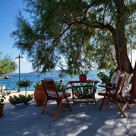 Alexandra Studios 2 Kırlangıç Dış mekan fotoğraf